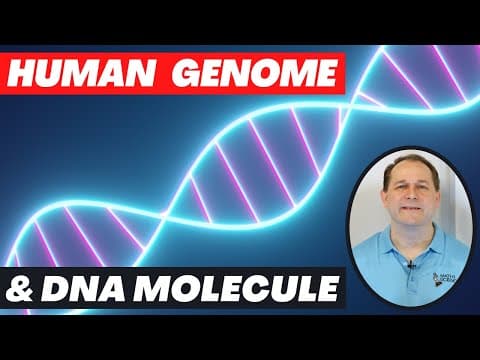 Human Genome Project and The DNA Molecule Explained