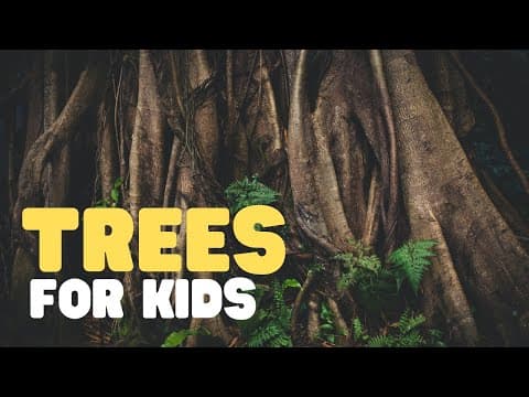 Trees for kids - learn all about trees in this fun educational video for kids