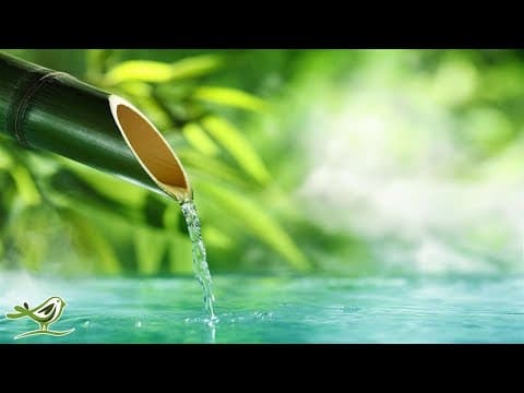 Relaxing Music with Duration of 10 Hours • Soft Piano Music Lullaby Music Running Water Sound