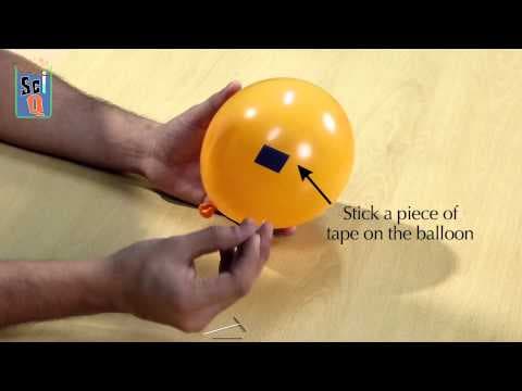 Learn How to Poke a Balloon Without Bursting It! Kids Science Experiments