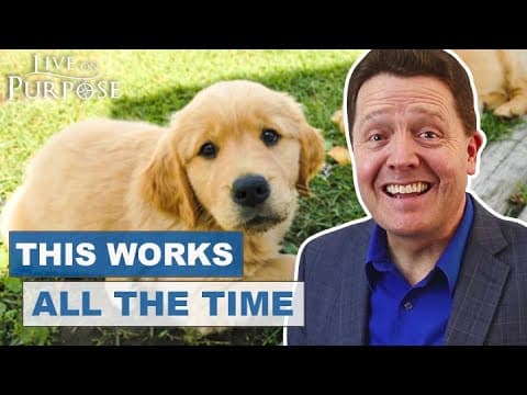 How to convince your parents to get a dog