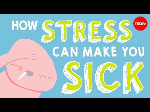 How stress affects your body - Sharon Horesh Bergquist - YouTube
