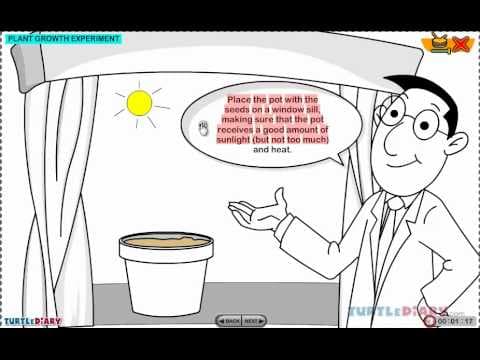 Plant Growth Experiment YOU CAN DO! Science for Kids