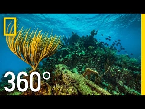 360° underwater national park