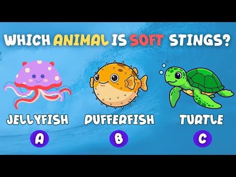 Guess the Sea Animal! 🌊 | Fun General Knowledge Quiz &amp; Ocean Facts for Kids