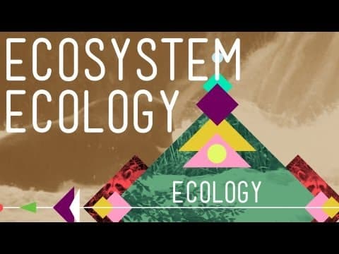 Ecosystem Ecology|Links in the Chain - Crash Course Ecology