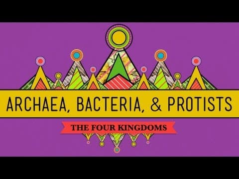 Old & Odd: Archaea, Bacteria & Protists - CrashCourse Biology #35 - YouTube