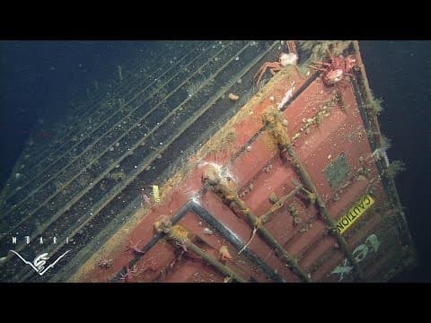 Lost at sea: Ecological assessment around a sunken shipping container - YouTube