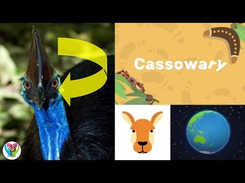 Bush Animals - Cassowary Bush