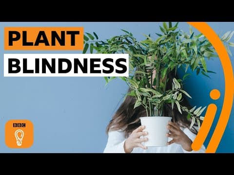 What is plant blindness (and are you suffering from it)? | BBC Ideas