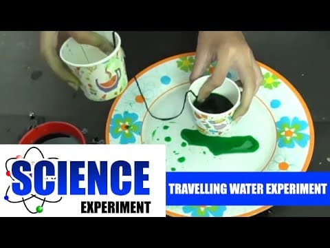 Science Experiment - 3 | Travelling Water Experiment | Easy Chemistry Experiments