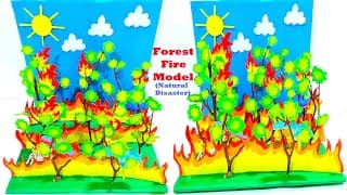 forest fire model 3d (Natural Disaster) for social science exhibition project