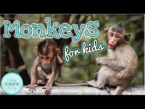 MONKEYS for Kids | Fun Monkey Facts for Children!