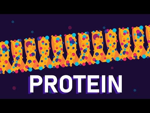 What are proteins?