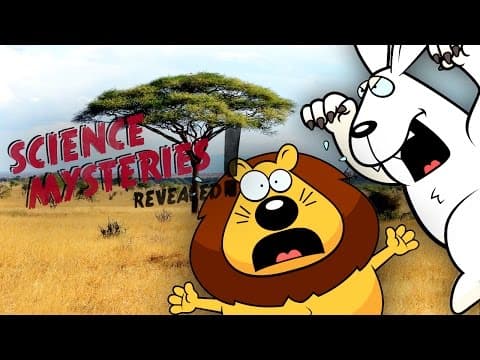 Why Do Animals Eat Each Other? | SCIENCE MYSTERIES REVEALED