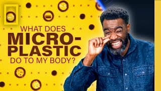 What Do Microplastics Do To My Body | National Geographic
