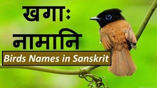 खगाः नामानि ( Birds Names in Sanskrit)