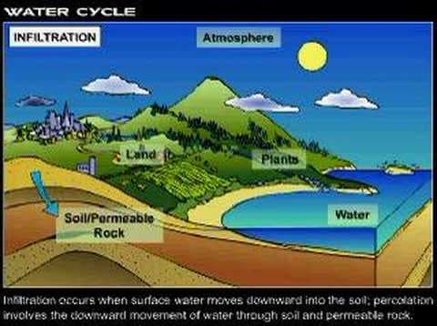 The Earth's Water Cycle - Environmental Science