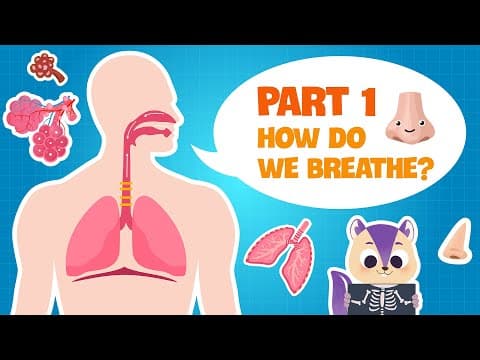 Biology | Secret of our Respiratory System (PART 1) | How do the Lungs work? | Science for kids
