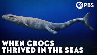 When Crocs Thrived in the Seas