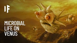 What If There Is Life on Venus?