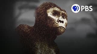 How Did Our Most Famous Ancestor Really Die