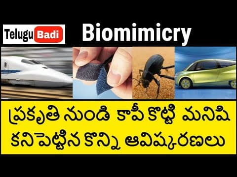 Top 15 Nature-inspired discoveries and inventions in Telugu  -  Biomimicry in Telugu  -  Telugu Badi