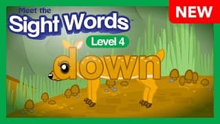 NEW! Meet the Sight Words Level 4 - "down"