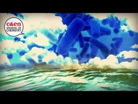 How Bacteria Make It Rain Speaking of Chemistry Road Trip