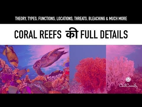 Everything about coral reefs types functions locations threats coral bleaching