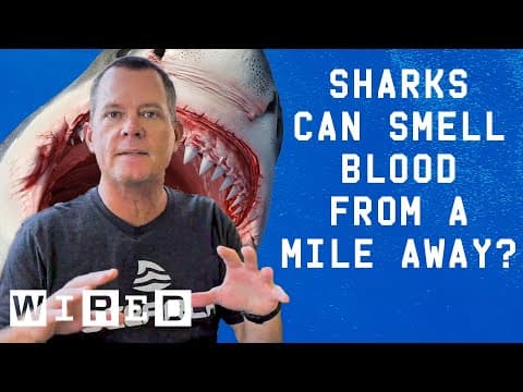 Ocean Researcher Debunks Ocean Myths