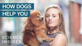 What Having A Dog Does To Your Brain And Body