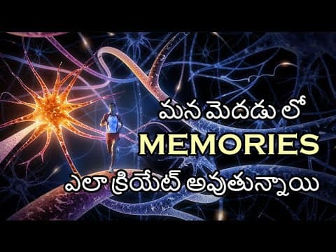How Memories Are Formed In Brain Explained In Telugu