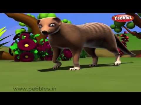 Top 10 3D Animal Nursery Rhymes in Telugu Volume - 3 |3D జంతువుల పాటలు | 3D Nursery Rhymes For Kids