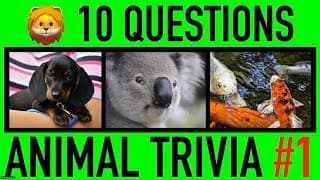 ANIMAL TRIVIA QUIZ | Animals General Knowledge Trivia Questions and Answers Challenge