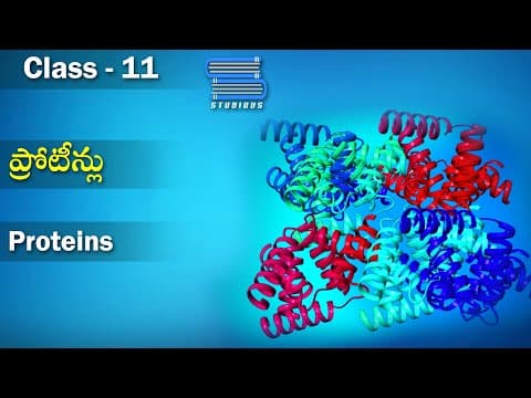 ప్రోటీన్లు - Proteins | Biomolecules