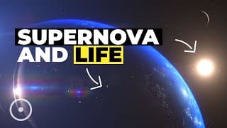 The Connection Between Supernovae and Life on Earth