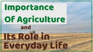 Why is Agriculture Important|Importance Of Agriculture and its Role in Everyday Life