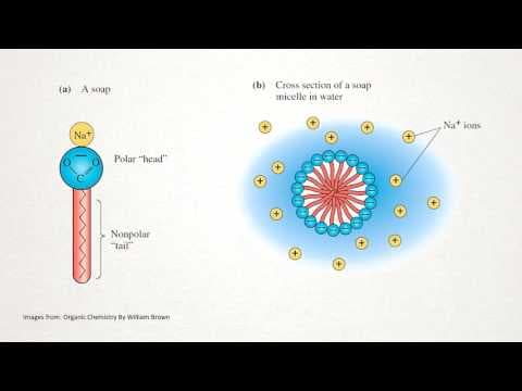 How does Soap Work? - YouTube
