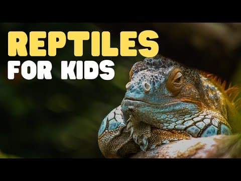 Reptiles for kids - what is a reptile? learn all about reptiles and their characteristics