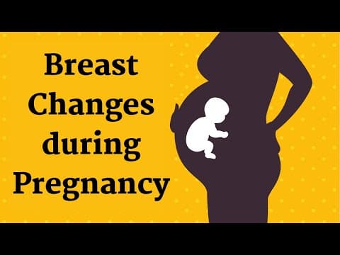 Pregnancy breast changes and how to handle with it