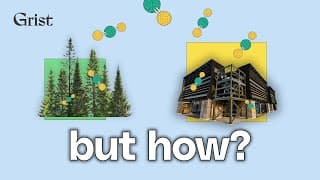 Should we pull carbon out of the air with trees, or machines