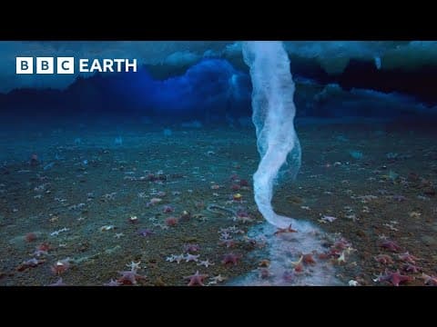 The 'Finger of Death' that Freezes Everything it Touches | Earth's Great Seasons
