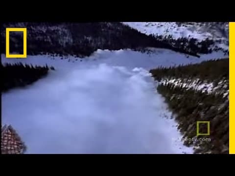 The Science of Avalanches