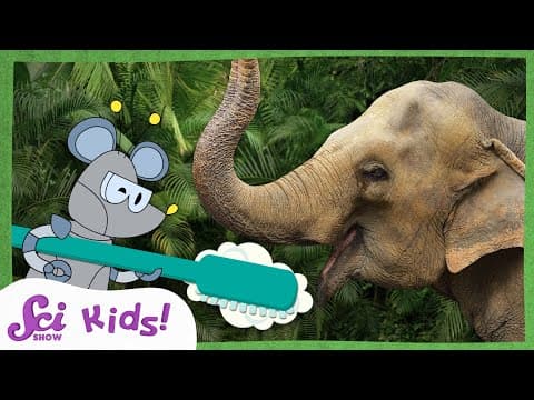 The Great Elephant Toothpaste Experiment! | Summer Experiments | SciShow Kids - YouTube