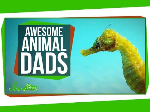 Awesome Animal Dads