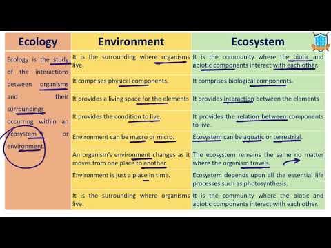 What is Ecology -Environment-Ecosystem ? |Ecology -Environment- Ecosystemఅంటే ఏమిటి?