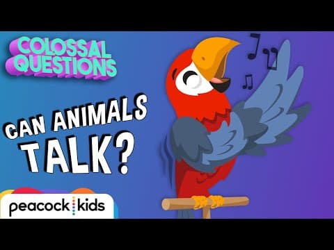 Can Animals Talk To Each Other? | COLOSSAL QUESTIONS