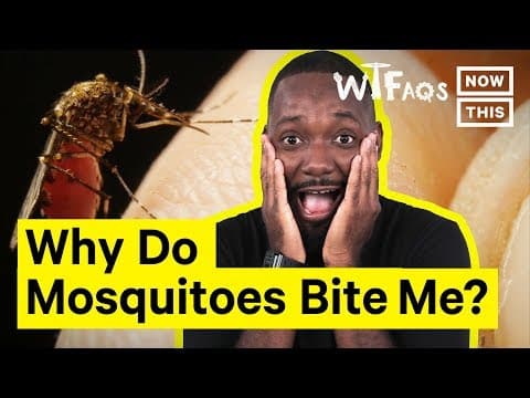 Why Mosquitoes Bite Some People More Than Others - YouTube