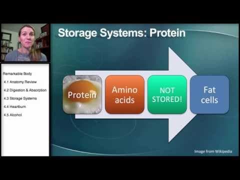 4.3 Remarkable Body: Storage Systems